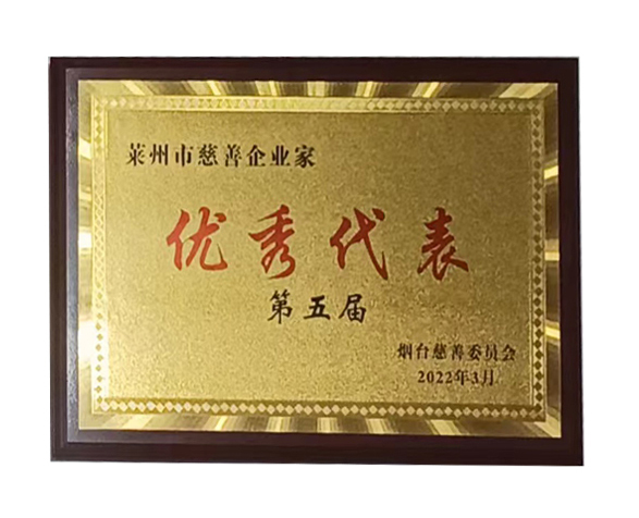 慈善企業家